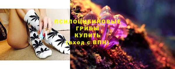 гидропоника Арсеньев